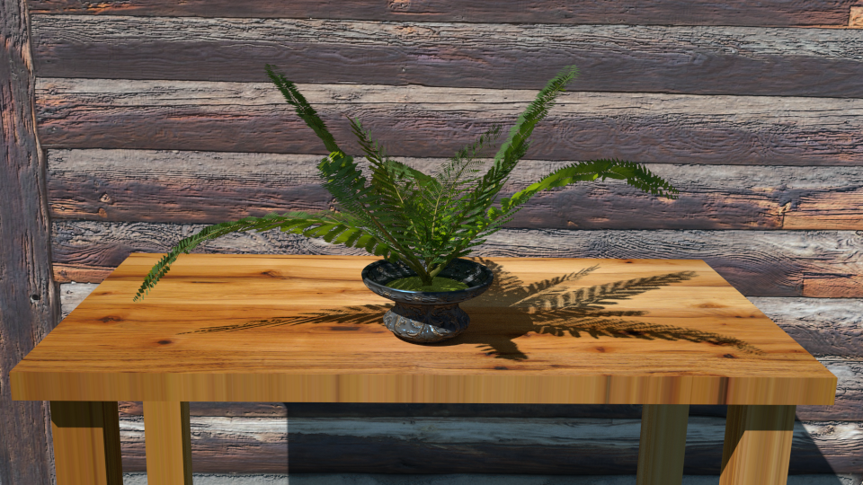 盆栽蕨类植物