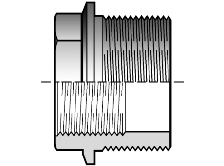 24DFV 还原布什与BSP的阳螺纹端（R）和BSP螺纹母端（R1降低）