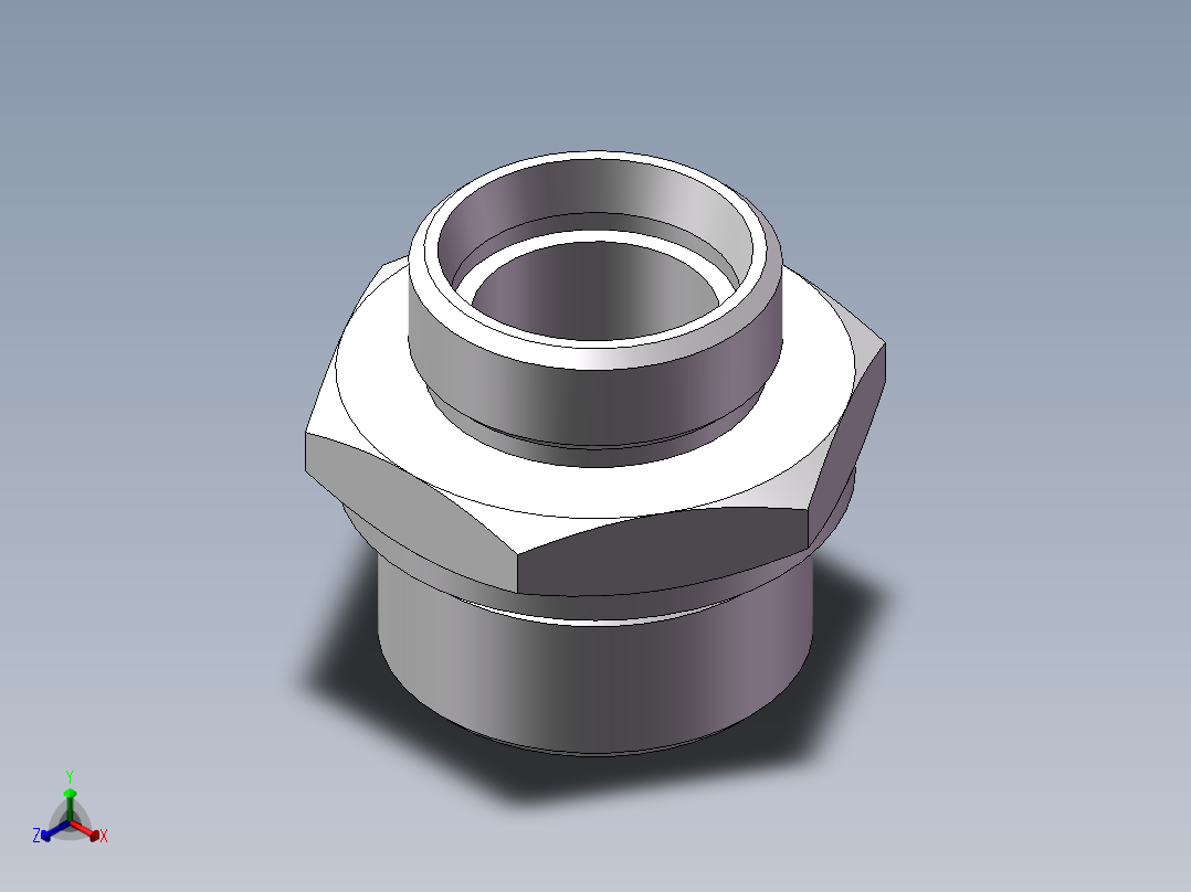 英制管螺纹ED密封、1CB-36-20WD非标正等轴测图