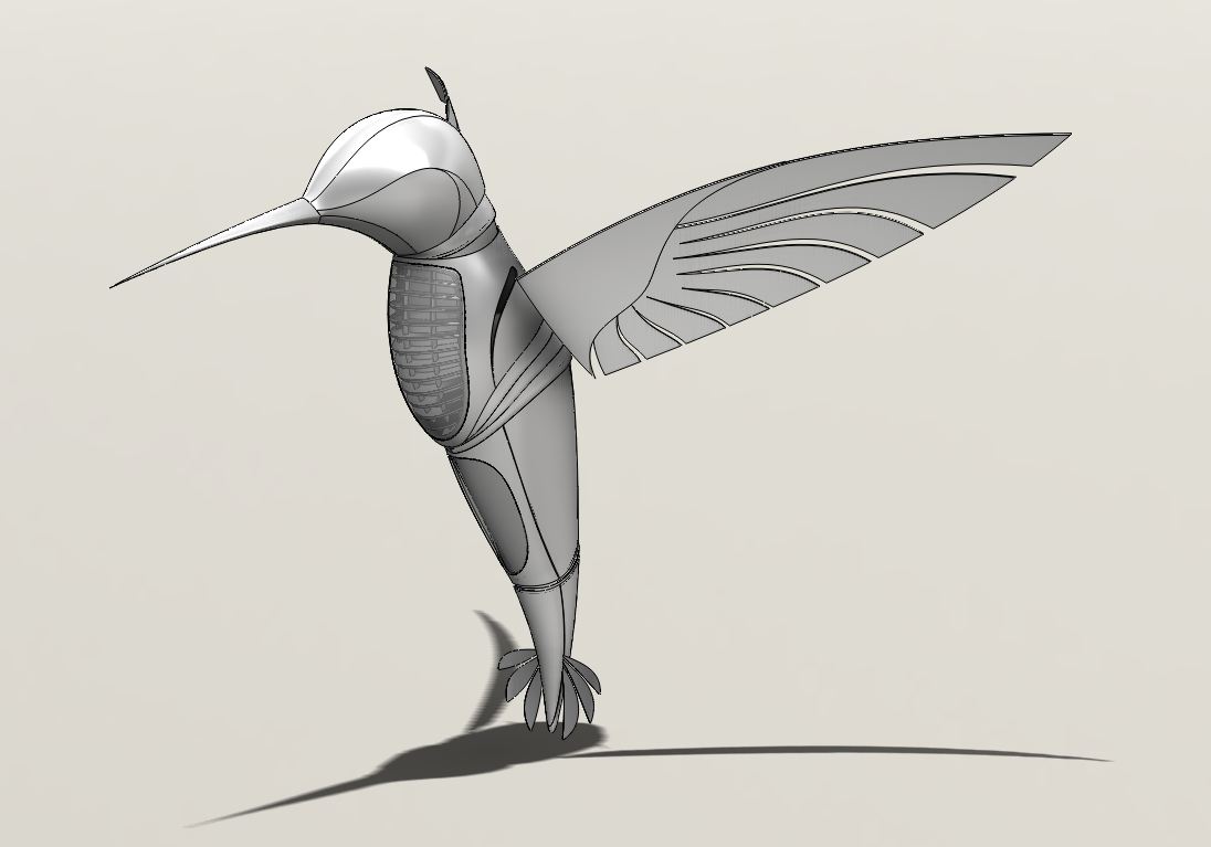 蜂鸟