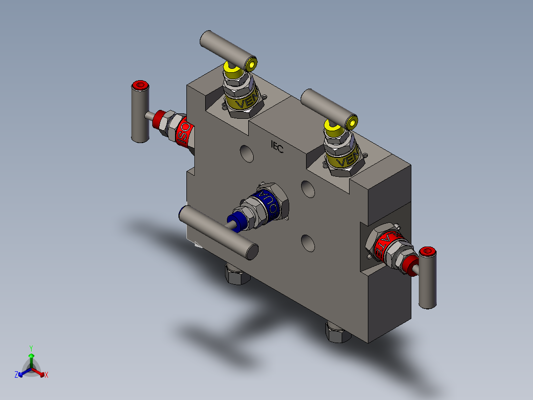 W5-外壳安装式五阀歧管模型