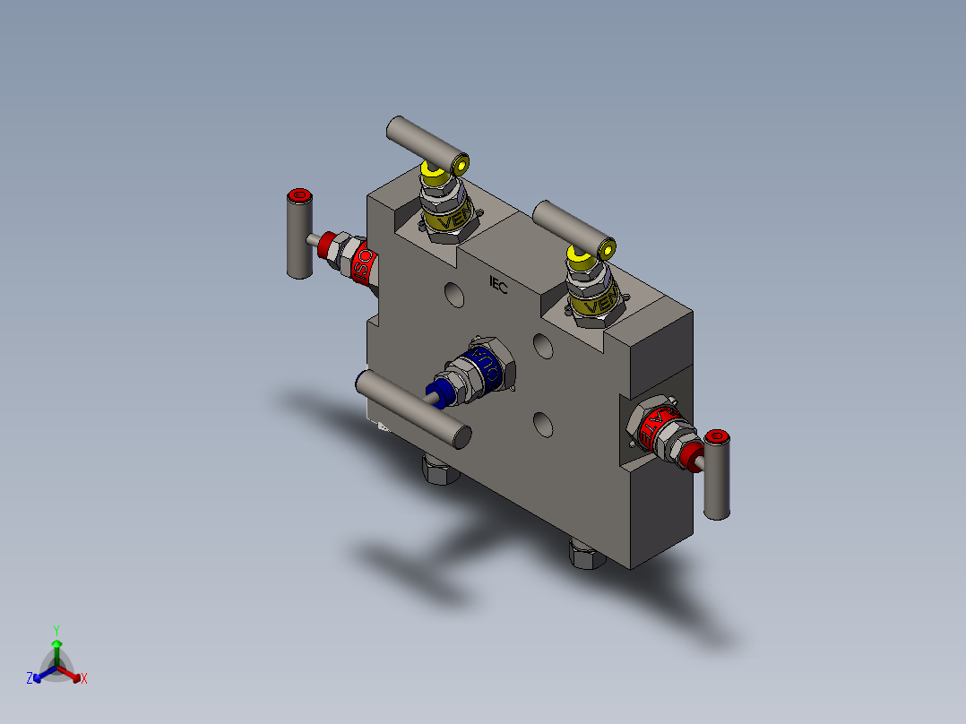 W5-外壳安装式五阀歧管模型正等轴测图