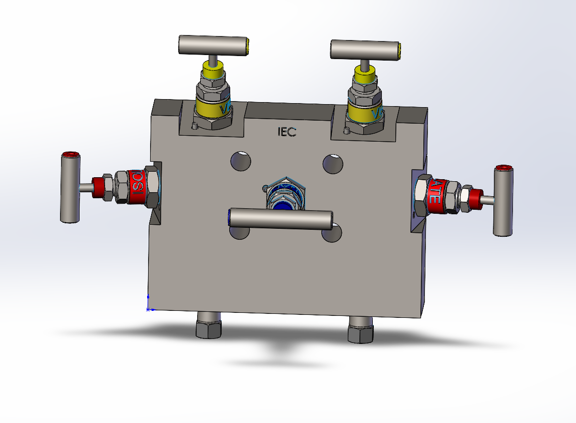W5-外壳安装式五阀歧管模型