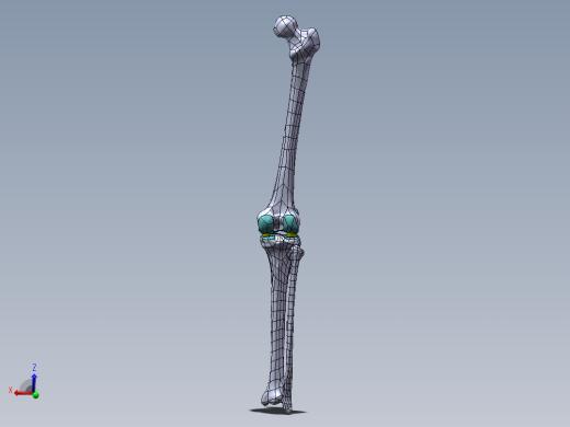 下肢膝关节 骨骼模型1053855==1200S10