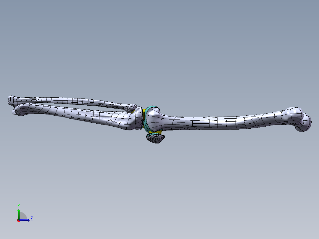 下肢膝关节 骨骼模型1053855==1200S10左视图