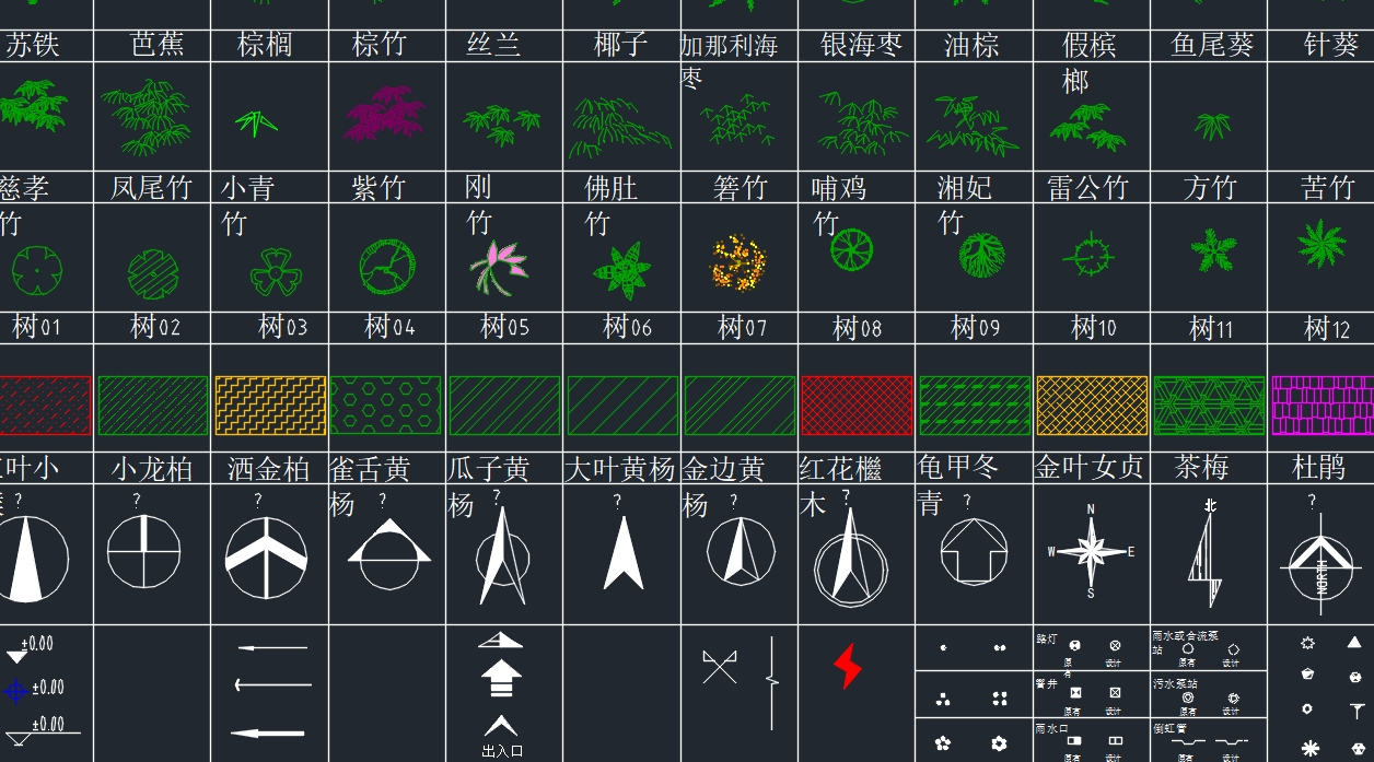景观树图库1