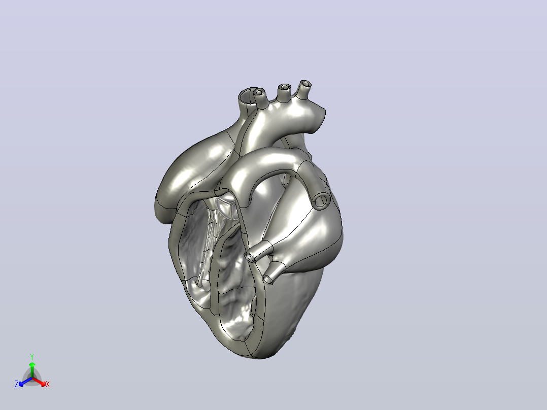 有史以来印刷的最好的全彩色3D心脏正等轴测图