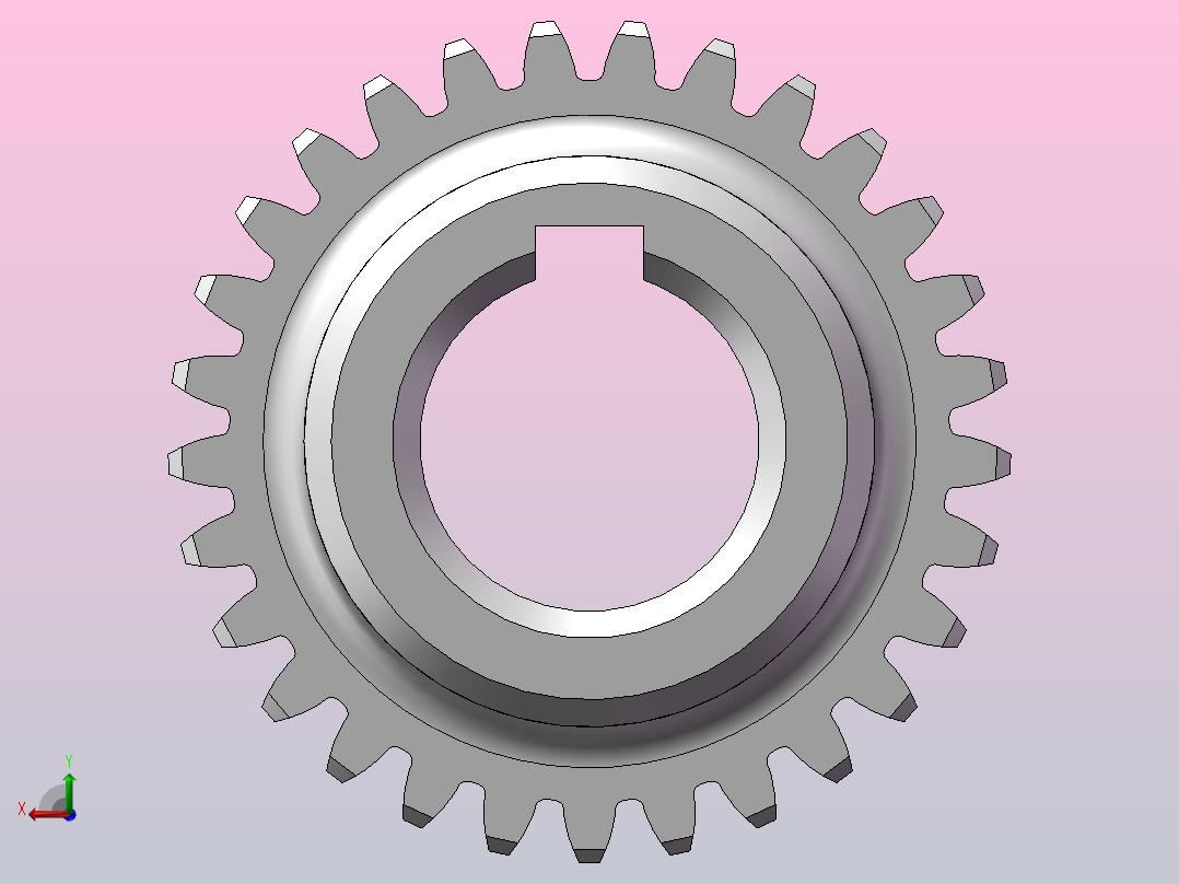 圆柱齿轮29×2后视图