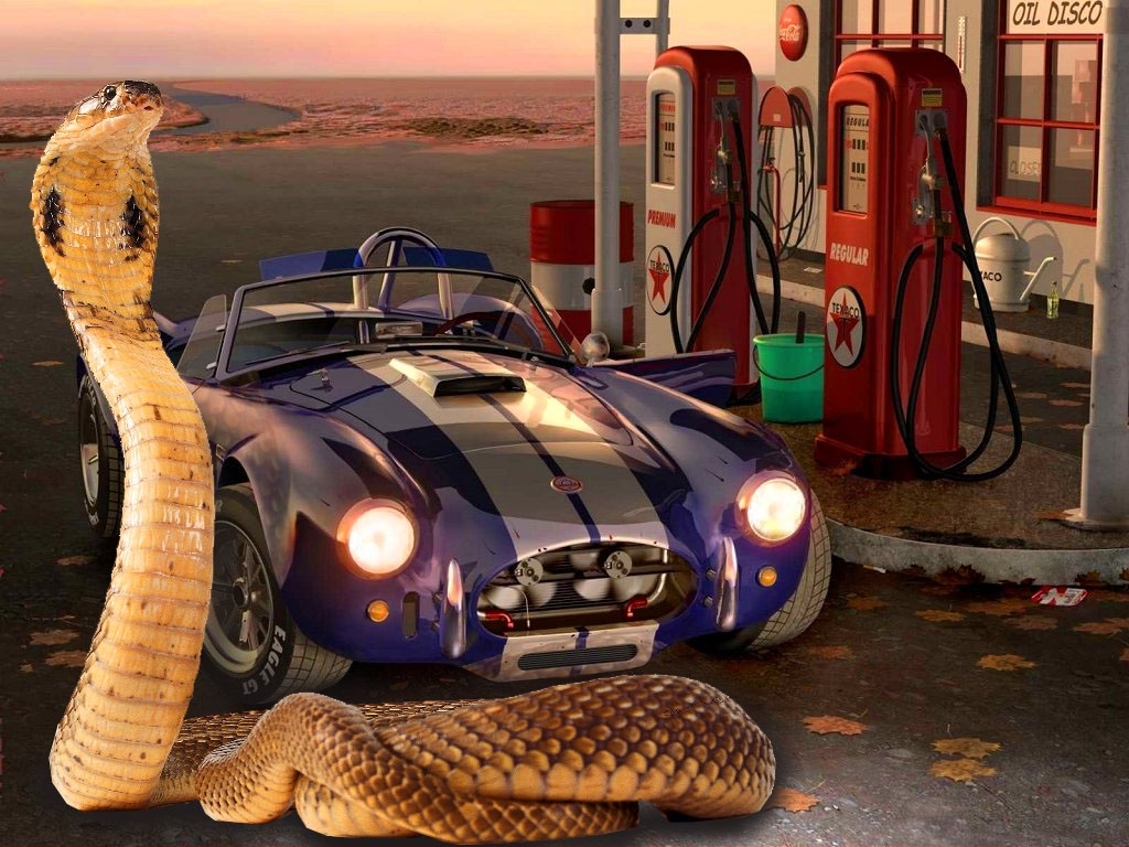 眼镜蛇车