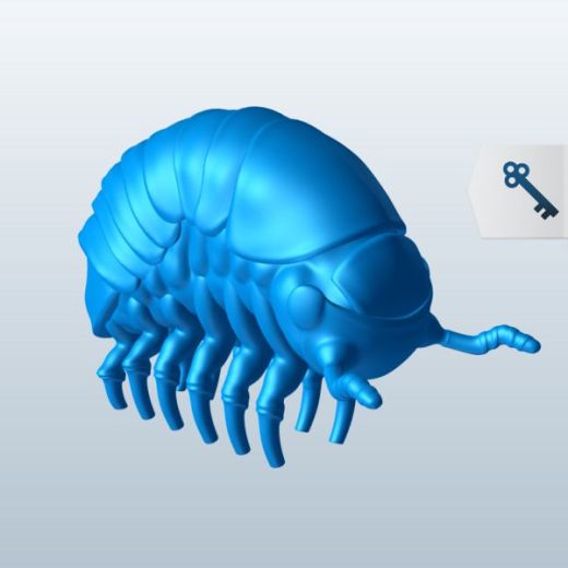 毫克虫