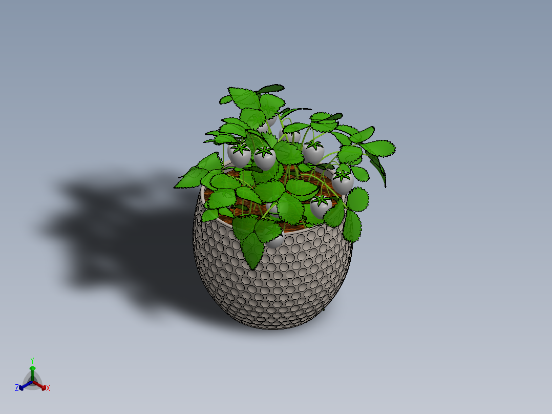 植物(4)正等轴测图