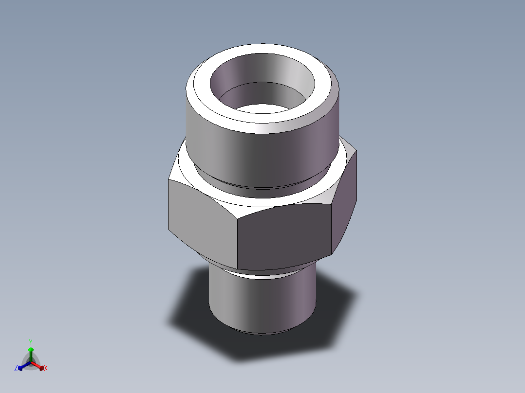 公制螺纹ED密封、1DM-20-14WD非标正等轴测图