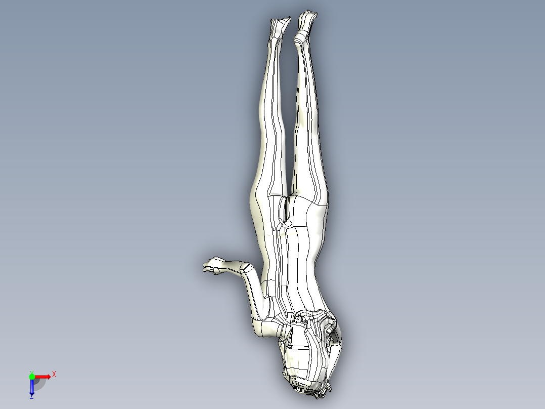 人体模型(111)俯视图