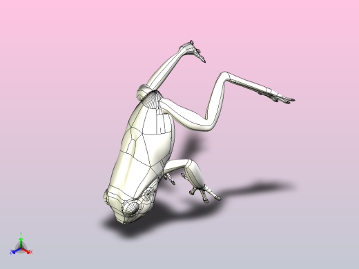 青蛙