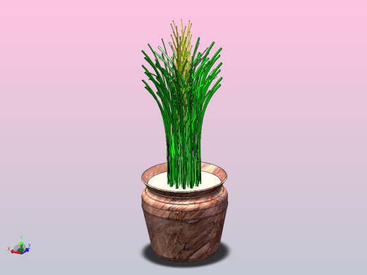 高草盆栽植物
