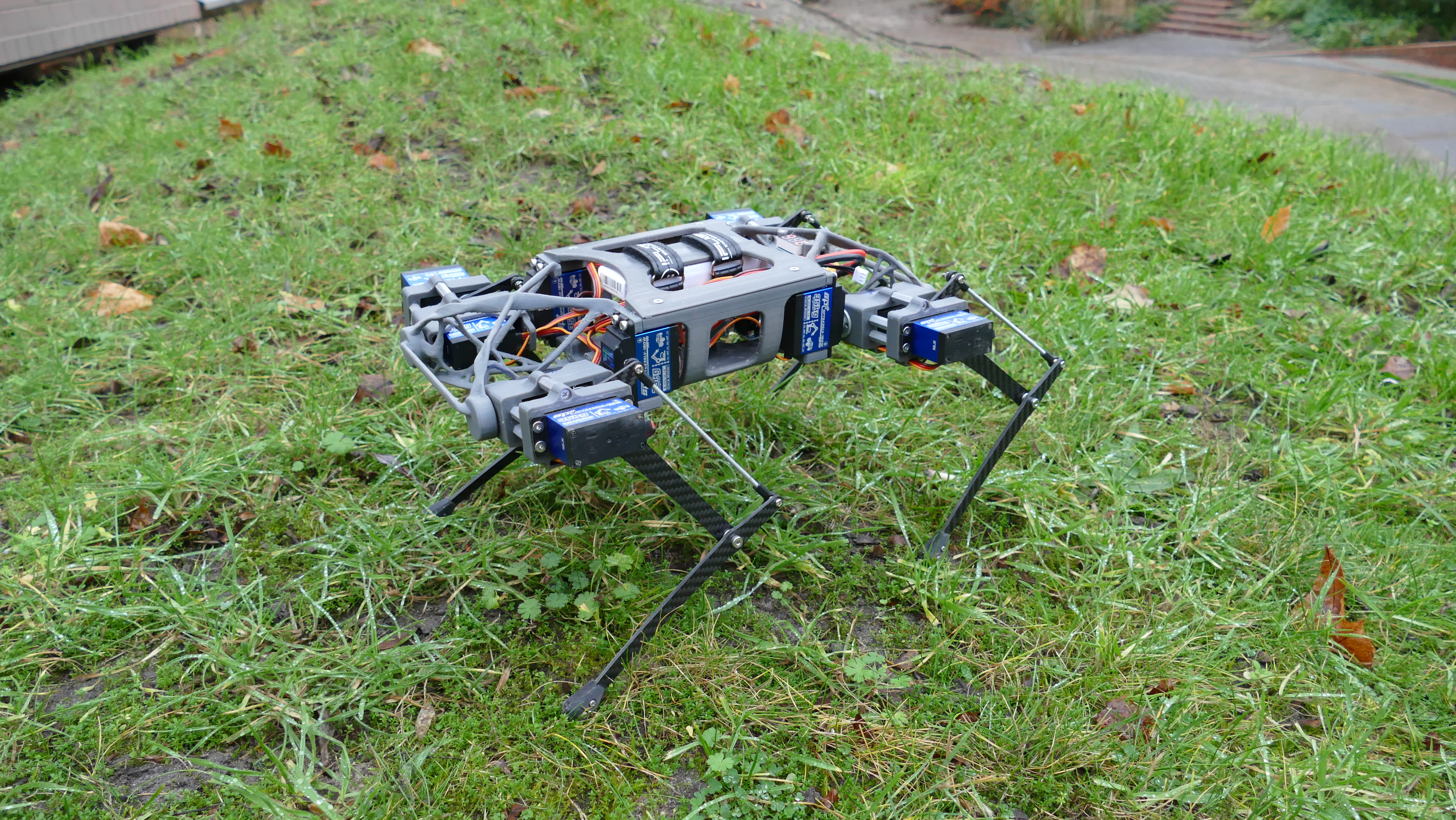 walking-quadruped-robot-diy-1.snapshot.17