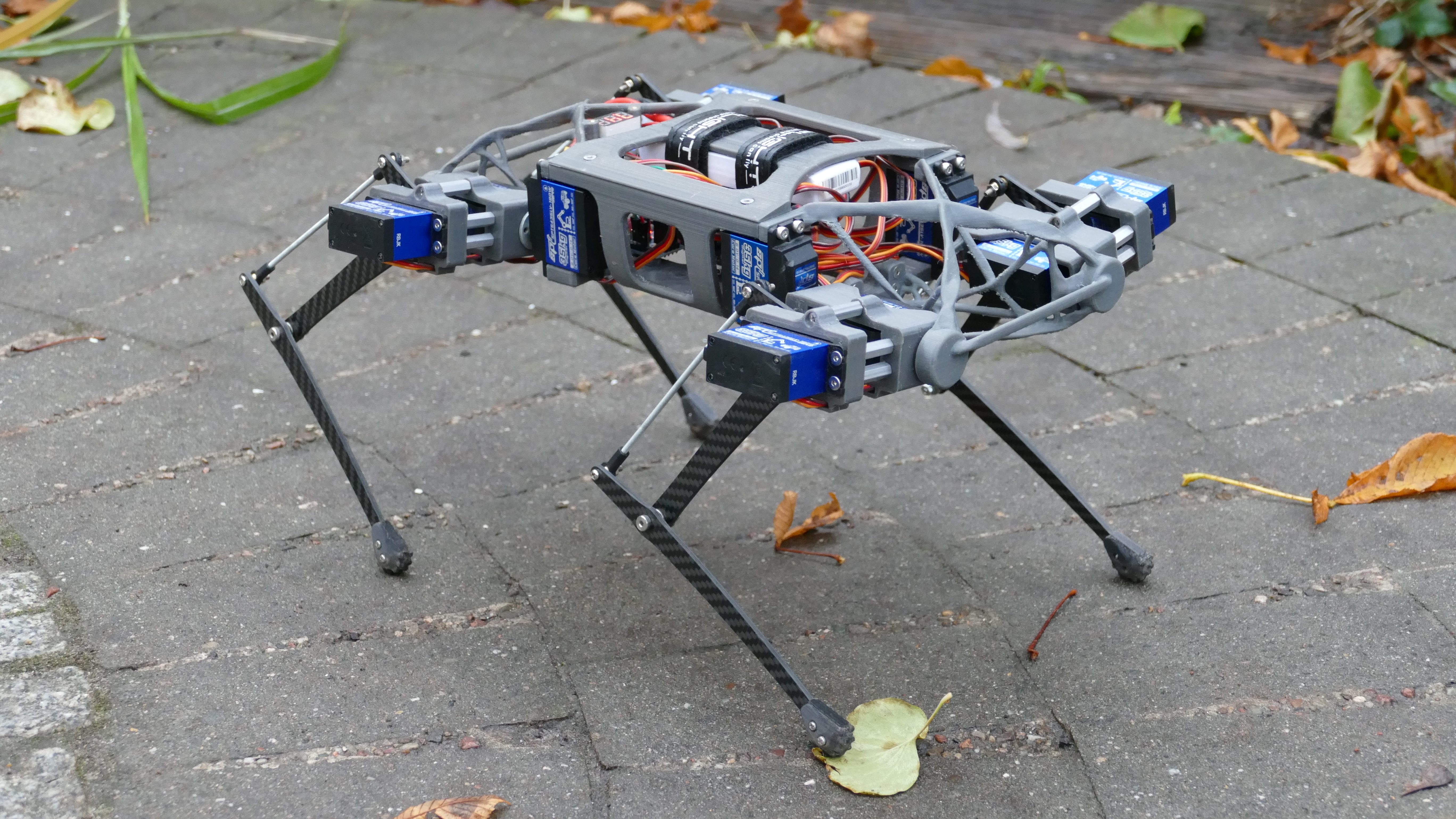 walking-quadruped-robot-diy-1.snapshot.17