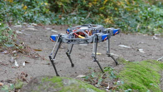 walking-quadruped-robot-diy-1.snapshot.17缩略图