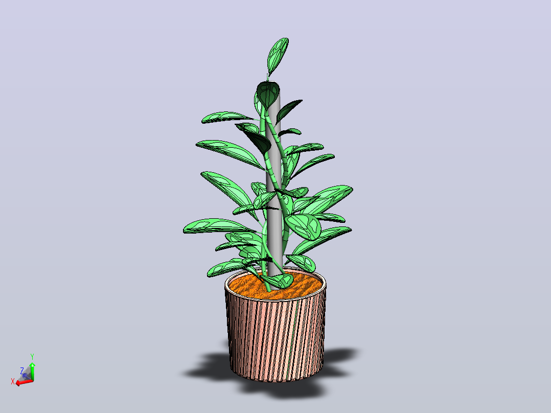 植物主视图