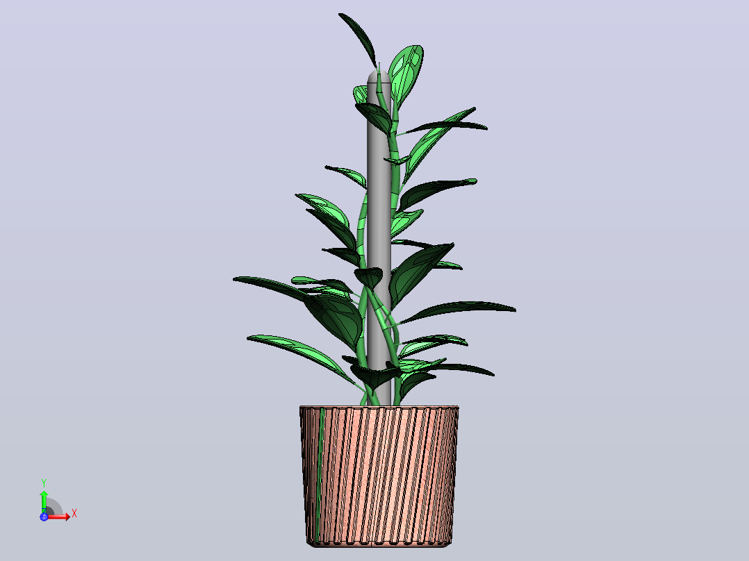 植物前视图