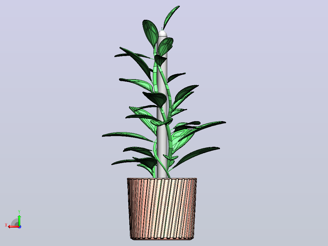 植物后视图