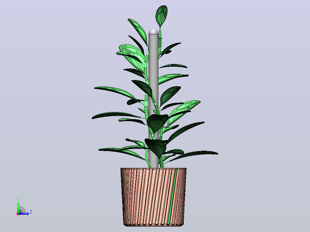 植物左视图