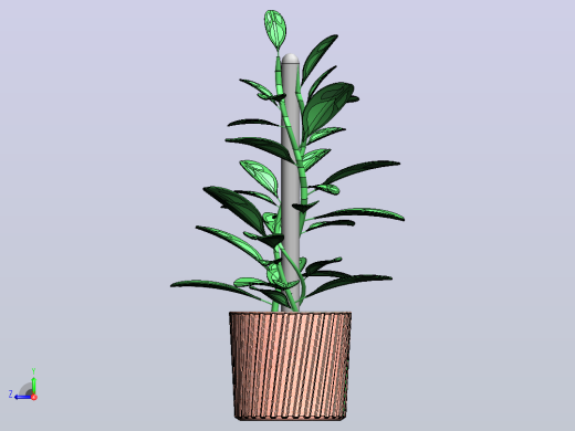 植物右视缩略图