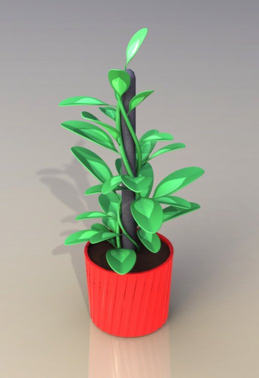 植物缩略图