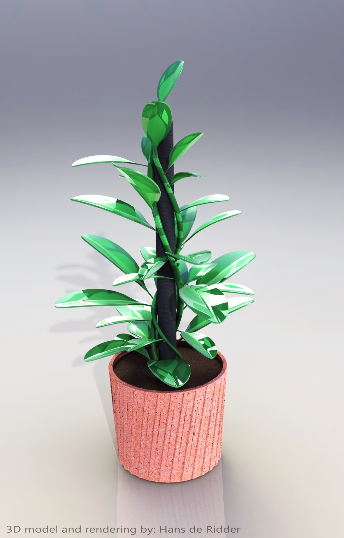 植物