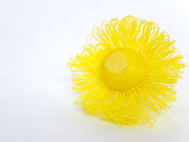 雏菊花