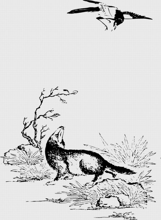 最新整合_300多套古建筑中式构造cad图（比较详细）缩略图