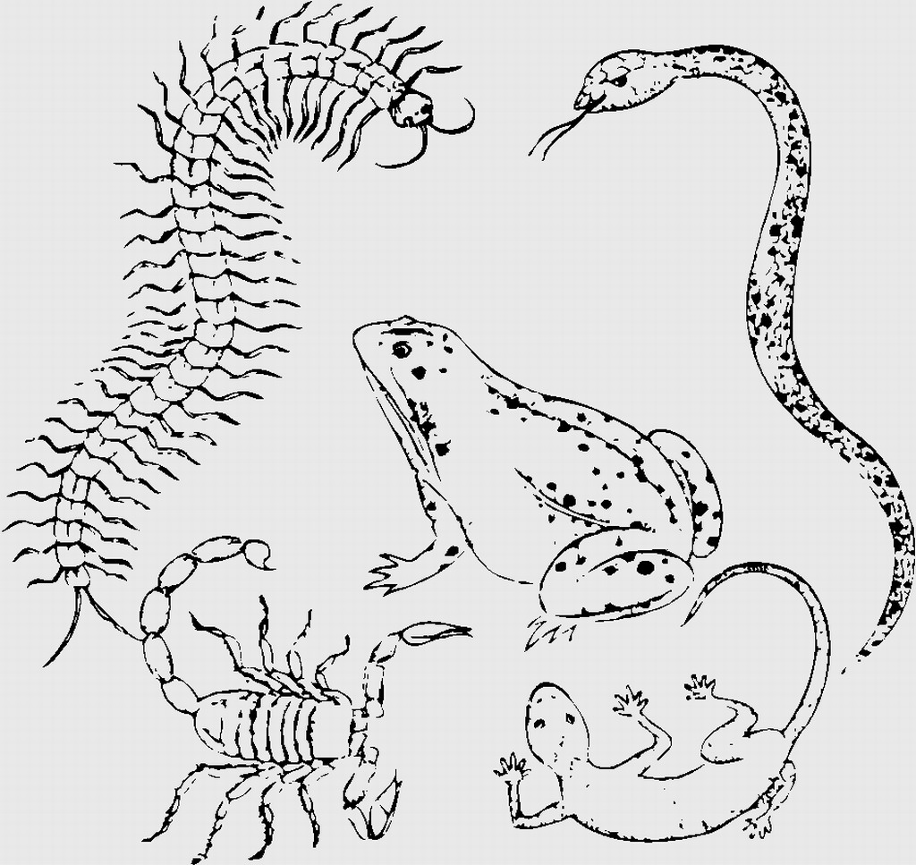 最新整合_300多套古建筑中式构造cad图（比较详细）