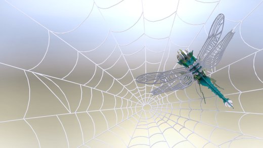被困蜻蜓”3d拼图缩略图