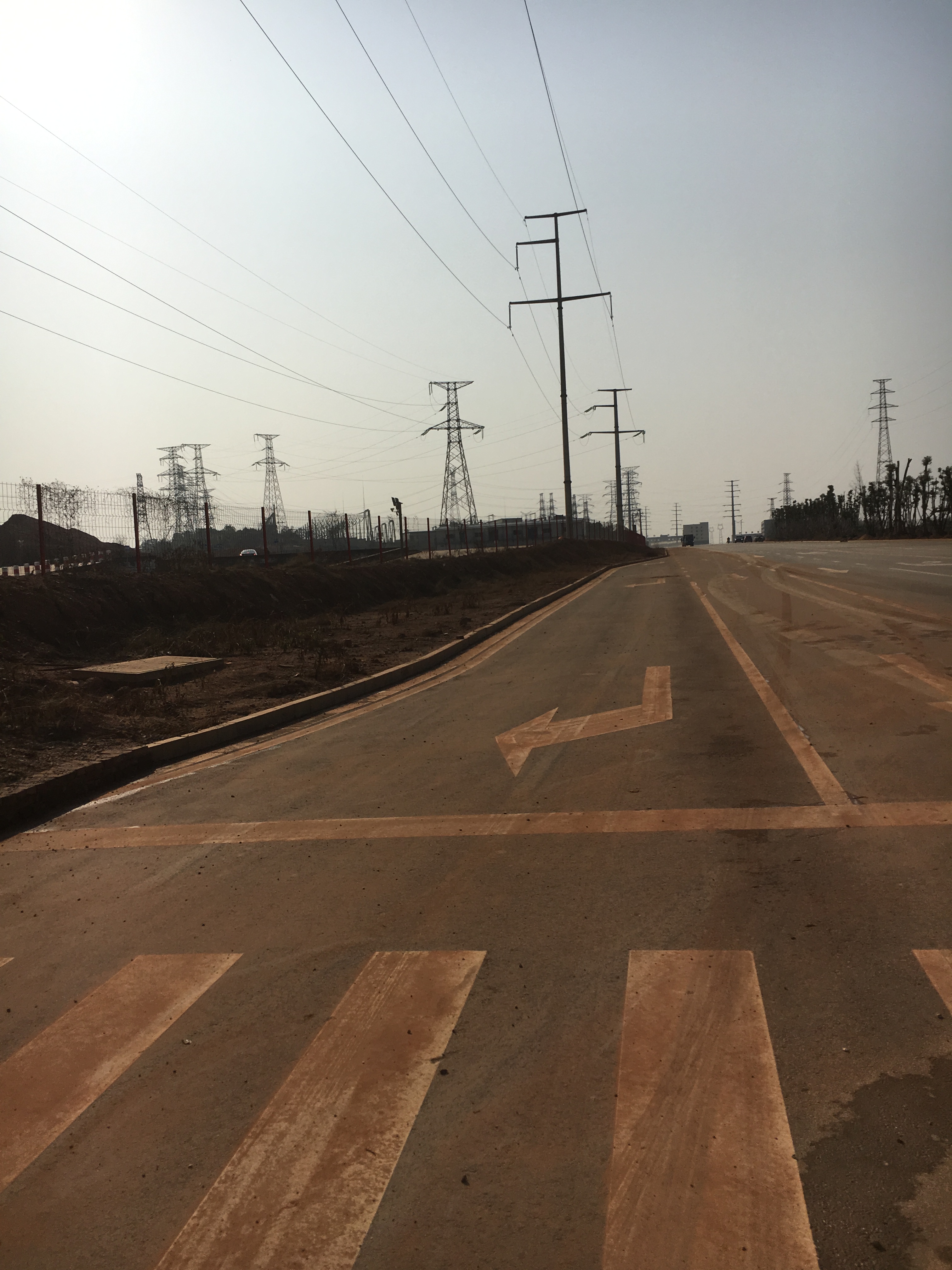市政桥梁道路公路工程-黄莺中路(荷花路~梧桐路)