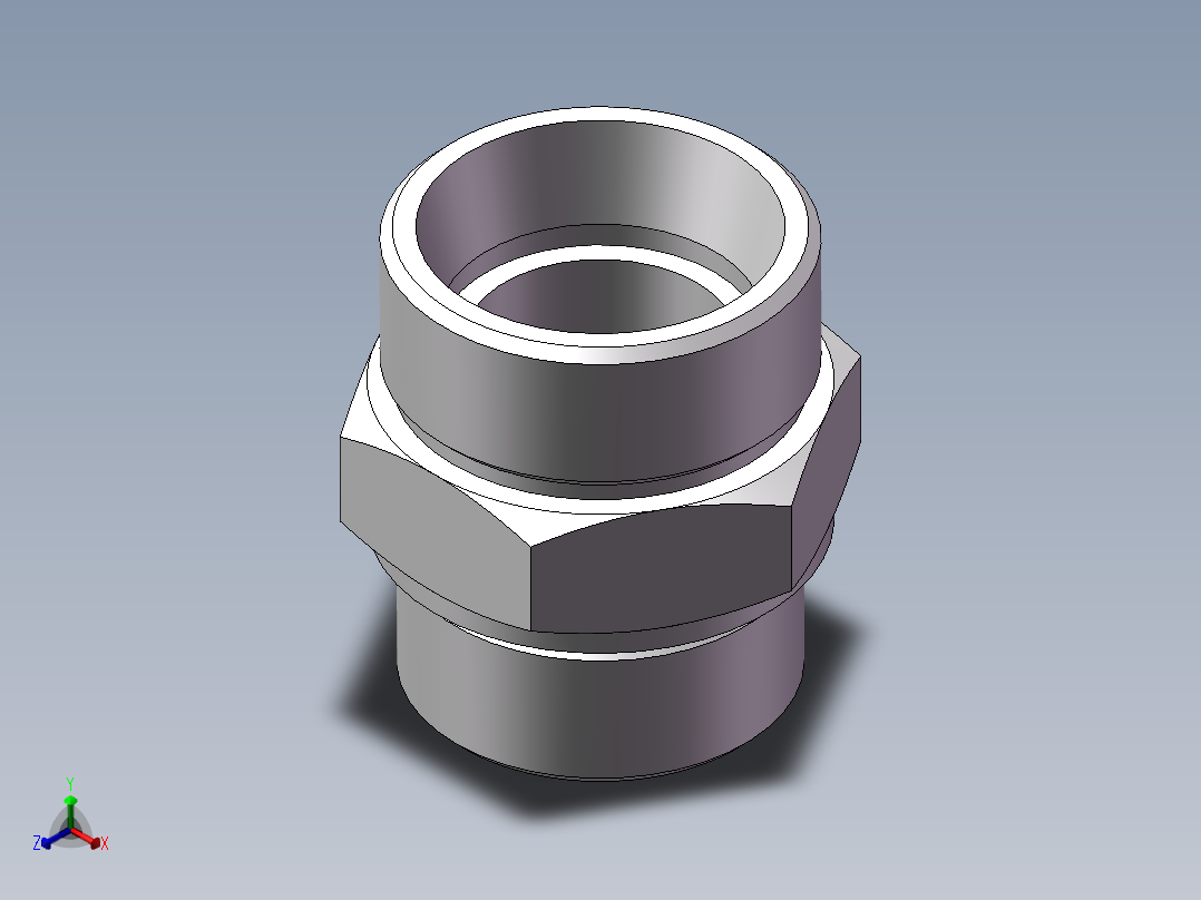 公制螺纹ED密封、1DM-52-48WD正等轴测图