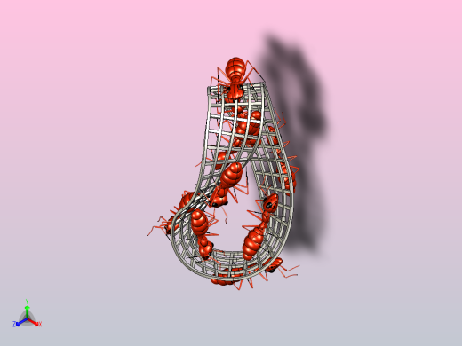 莫比乌斯带 II