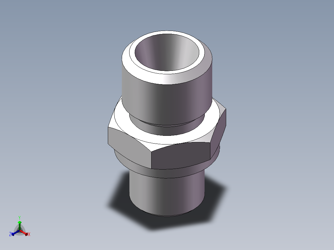 公制螺纹ED密封、1CM-12-10WD正等轴测图