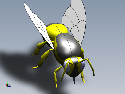 蜜蜂3d模型