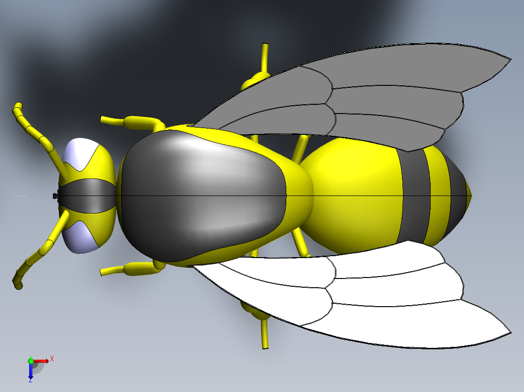 蜜蜂3d模型俯视图
