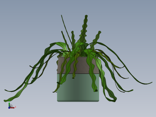 植物4前视缩略图