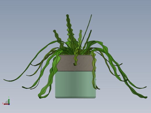 植物4后视缩略图