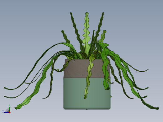 植物4右视缩略图