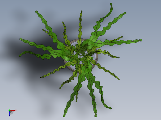 植物4俯视缩略图