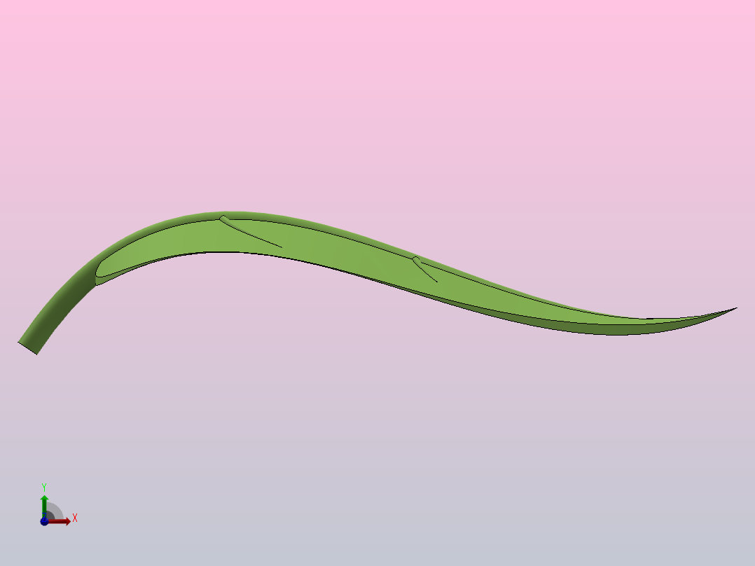 植物叶片前视图