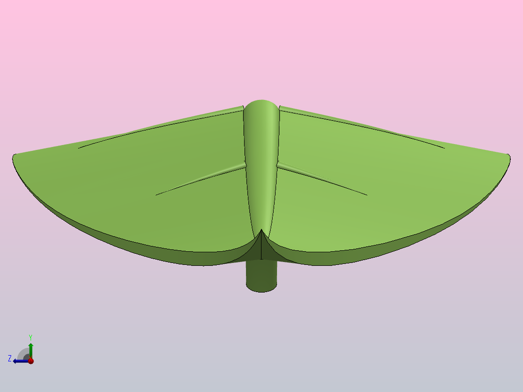 植物叶片右视图
