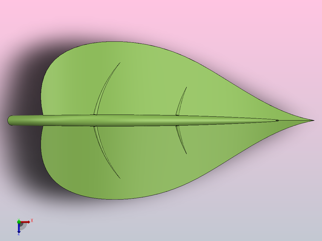 植物叶片俯视图