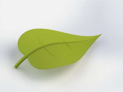 植物叶片缩略图