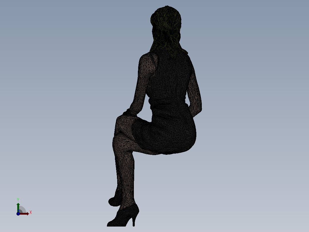 人体模型(6)前视图