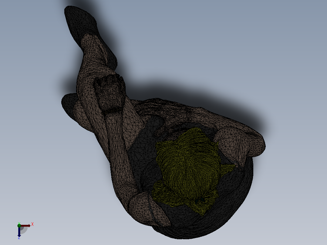 人体模型(6)俯视图