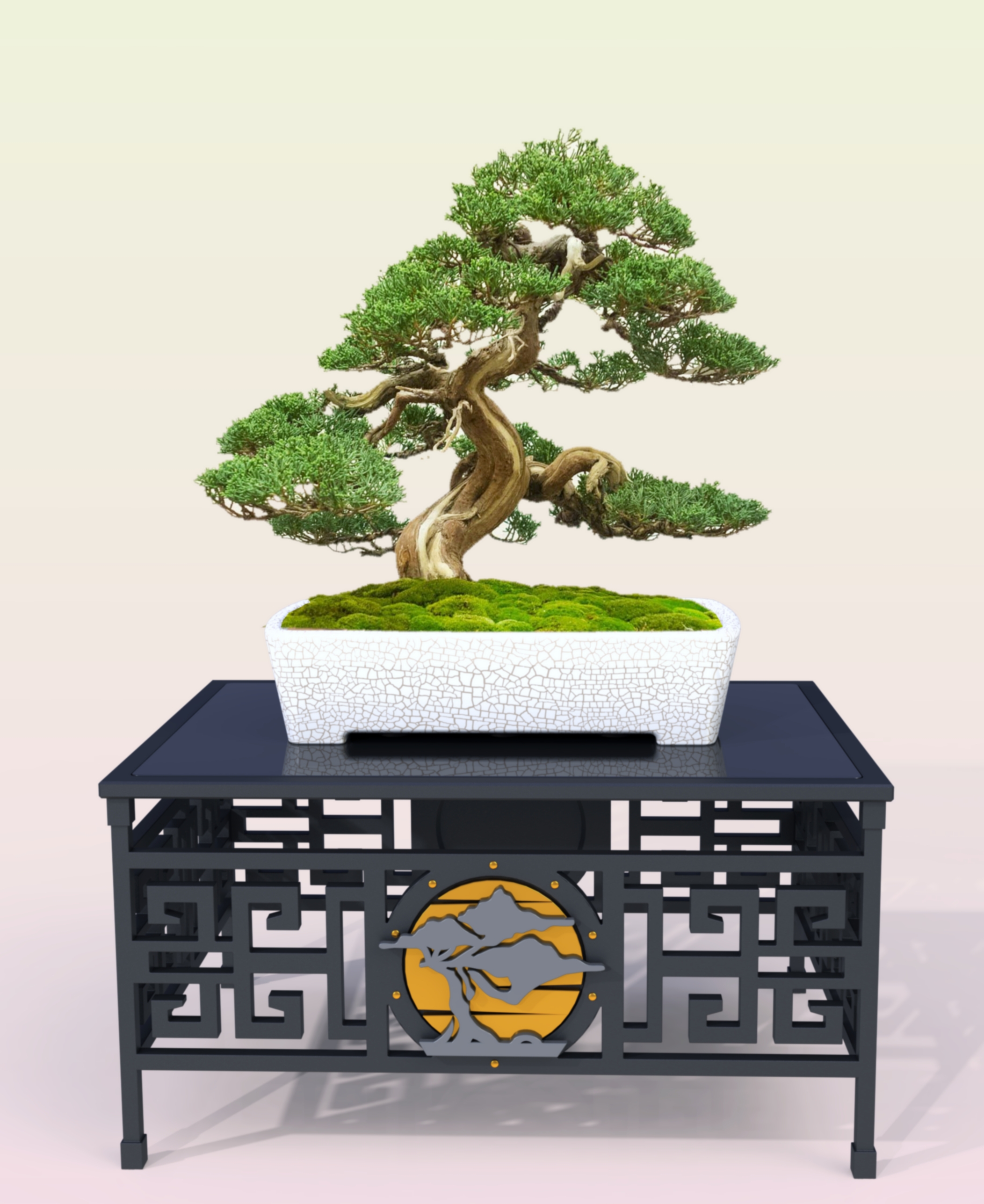 盆景桌